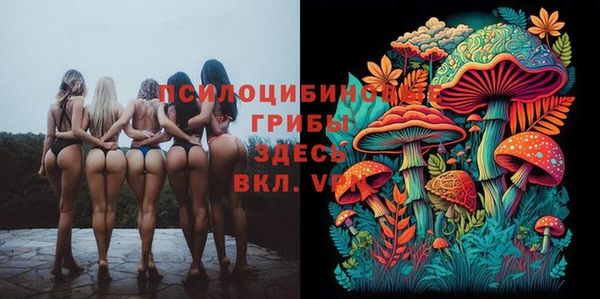 амф Карталы