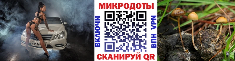Купить закладки  Усинск  Псилоцибиновые грибы Psilocybe 